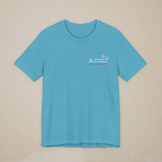 Ascension Joy 5E Medical Surgical Shirt BLUE